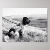 Cocker Spaniel Poster (Vorne)