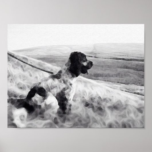 Cocker Spaniel Poster (Vorne)