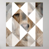 Cocker Spaniel Poster (Vorne)