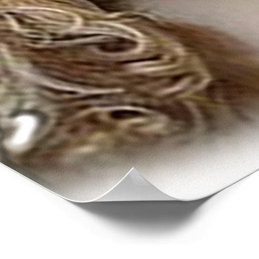 Cocker Spaniel Poster (Ecke)