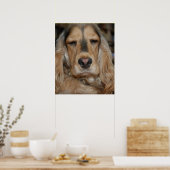 Cocker Spaniel Poster (Küche)