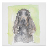 Cocker Spaniel Poster (Vorderseite)