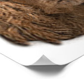 Cocker Spaniel Poster (Ecke)