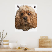 Cocker Spaniel Poster (Küche)