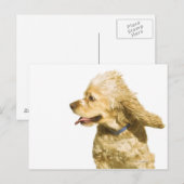 Cocker Spaniel Postkarte (Vorne/Hinten)