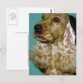 Cocker Spaniel Postkarte (Vorne/Hinten)