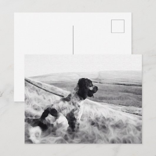 Cocker Spaniel Postkarte (Vorne/Hinten)