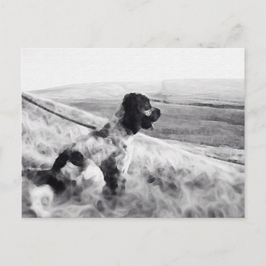 Cocker Spaniel Postkarte (Vorderseite)