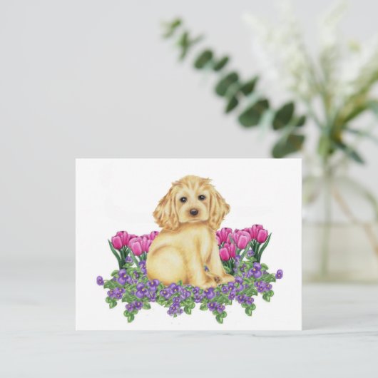 Cocker Spaniel Postkarte (Stehend Vorderseite)