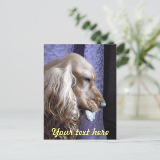 Cocker Spaniel Postkarte (Stehend Vorderseite)