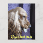 Cocker Spaniel Postkarte (Vorderseite)