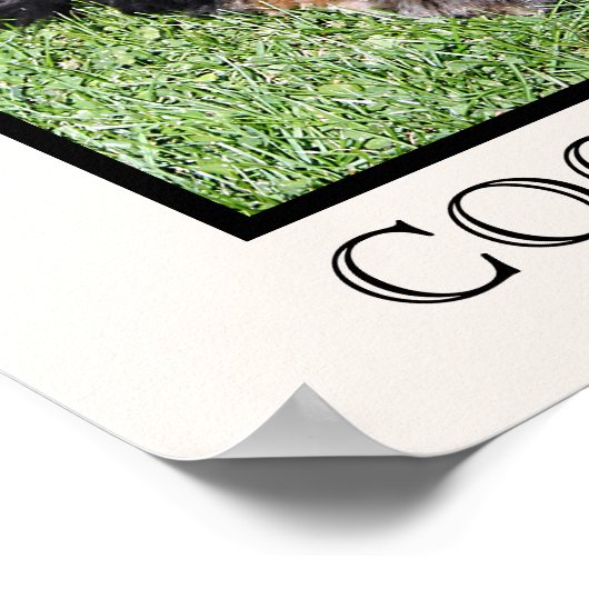 Cocker Spaniel Print Poster (Ecke)