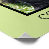 Cocker Spaniel Print Poster (Ecke)