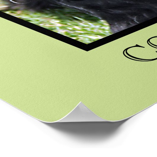 Cocker Spaniel Print Poster (Ecke)