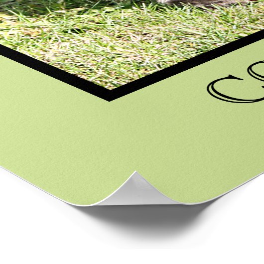 Cocker Spaniel Print Poster (Ecke)