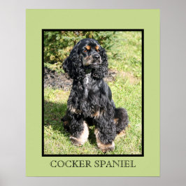 Cocker Spaniel Print Poster