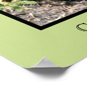 Cocker Spaniel Print Poster (Ecke)