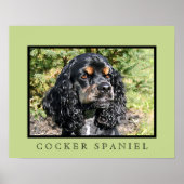 Cocker Spaniel Print Poster (Vorne)