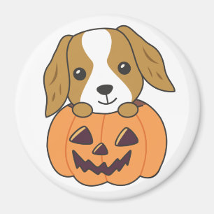 Cocker Spaniel Pumpkin Niedlich Hunde Happy Hallow Magnet