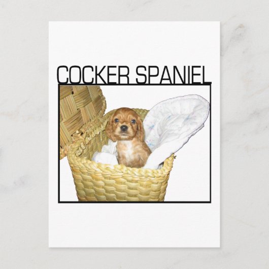 Cocker Spaniel Puppy! Postkarte (Vorderseite)