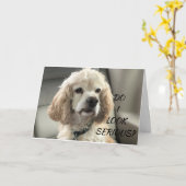 COCKER SPANIEL PUPPY WISHES U HAPPY BIRTHDAY CARD KARTE (Gelbe Blume)
