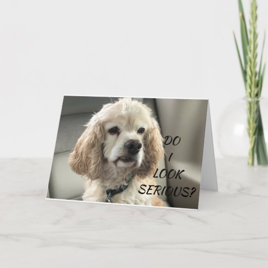 COCKER SPANIEL PUPPY WISHES U HAPPY BIRTHDAY CARD KARTE (Vorderseite)