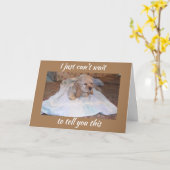 COCKER SPANIEL PUPPY WISHES U HAPPY BIRTHDAY KARTE (Gelbe Blume)