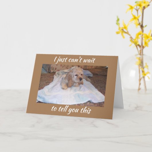 COCKER SPANIEL PUPPY WISHES U HAPPY BIRTHDAY KARTE (Gelbe Blume)