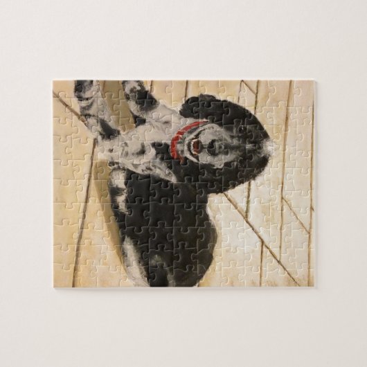 Cocker spaniel puzzle (Horizontal)