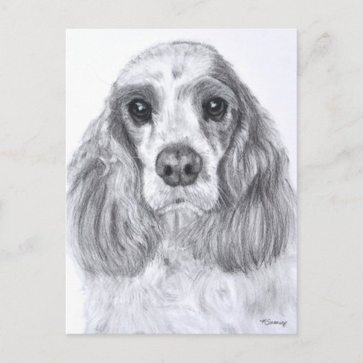 Cocker Spaniel Red White Art Postkarte (Vorderseite)