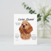 Cocker Spaniel (rot) Geschichtsdesign Postkarte (Stehend Vorderseite)