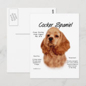 Cocker Spaniel (rot) Geschichtsdesign Postkarte (Vorne/Hinten)
