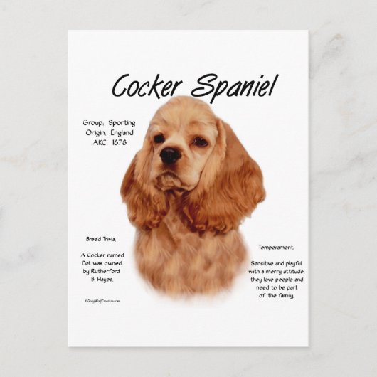 Cocker Spaniel (rot) Geschichtsdesign Postkarte (Vorderseite)