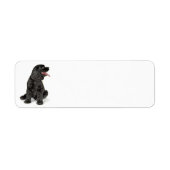 Cocker Spaniel Rücksendeadresse-Label (Vorne)