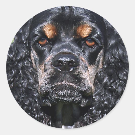 Cocker Spaniel Runder Aufkleber (Vorderseite)