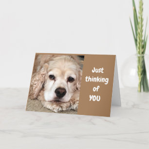 COCKER SPANIEL SAGT "HATTEN SIE DEN BESTEN GEBURTS KARTE
