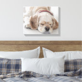 Cocker Spaniel schlafend Hund Leinwanddruck (Insitu (Schlafzimmer))