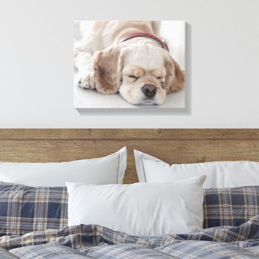 Cocker Spaniel schlafend Hund Leinwanddruck (Insitu (Schlafzimmer))
