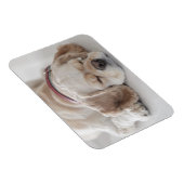 Cocker Spaniel schlafend Hund Magnet (Rechte Seite)