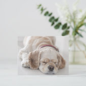 Cocker Spaniel schlafend Hund Postkarte (Stehend Vorderseite)