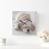 Cocker Spaniel schlafend Hund Quadratische Wanduhr (Zuhause)