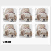 Cocker Spaniel schlafend Hund Quadratischer Aufkleber (Blatt)