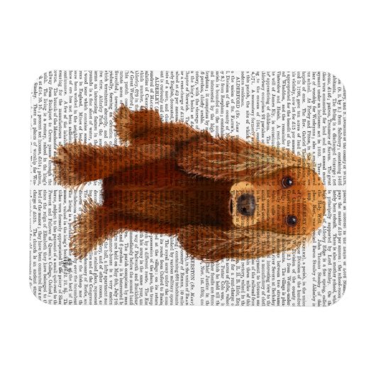 Cocker Spaniel Schlicht Magnet (Horizontal)