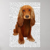 Cocker Spaniel Schlicht Poster (Vorne)