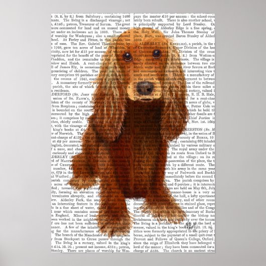 Cocker Spaniel Schlicht Poster (Vorne)