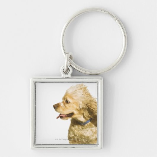 Cocker spaniel schlüsselanhänger (Vorne)
