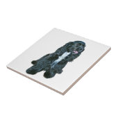 Cocker Spaniel - Schwarz #2 Fliese (Seite)