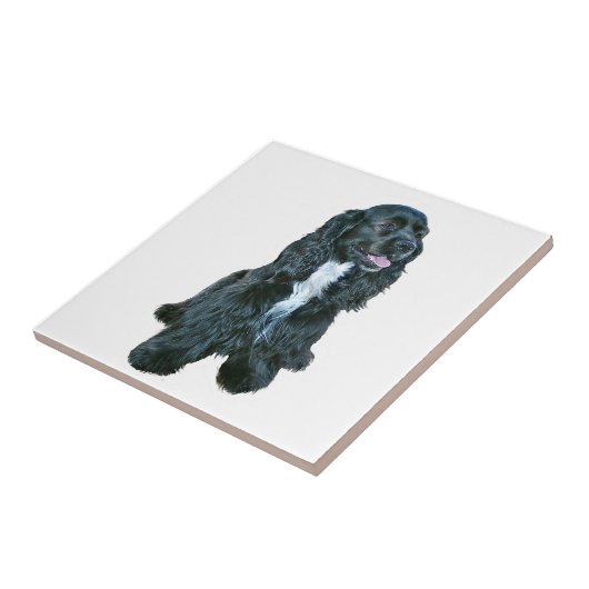 Cocker Spaniel - Schwarz #2 Fliese (Seite)