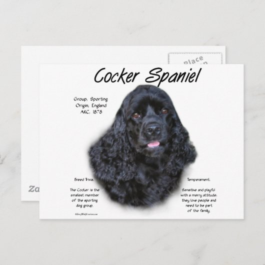 Cocker Spaniel (schwarz) Geschichtsdesign Postkarte (Vorne/Hinten)