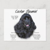 Cocker Spaniel (schwarz) Geschichtsdesign Postkarte (Vorderseite)